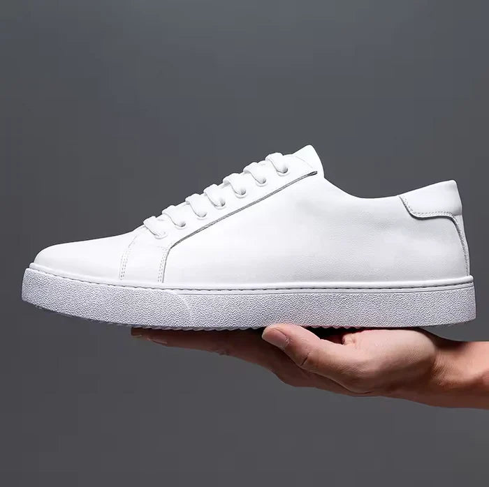 White / 15