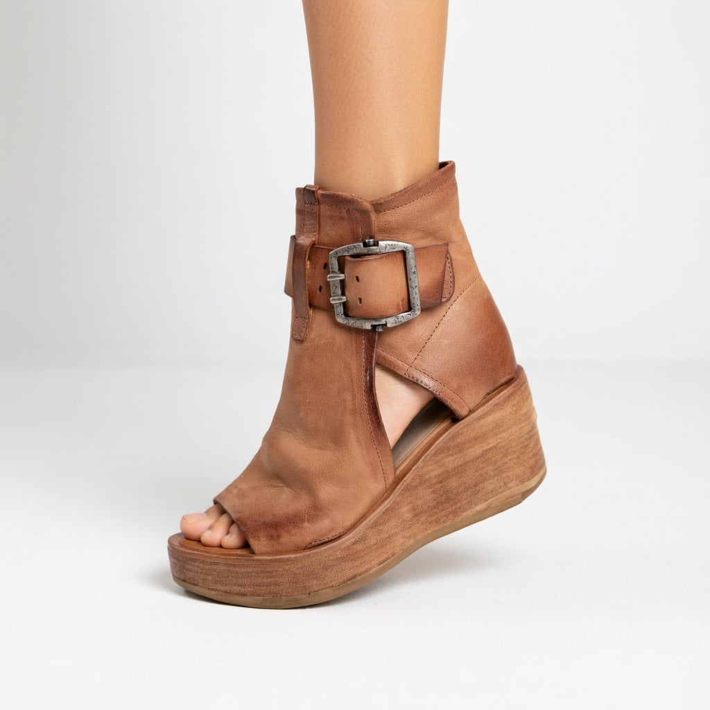 Brown / 11 –11.5